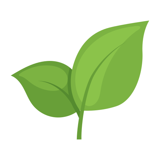 Feature icon