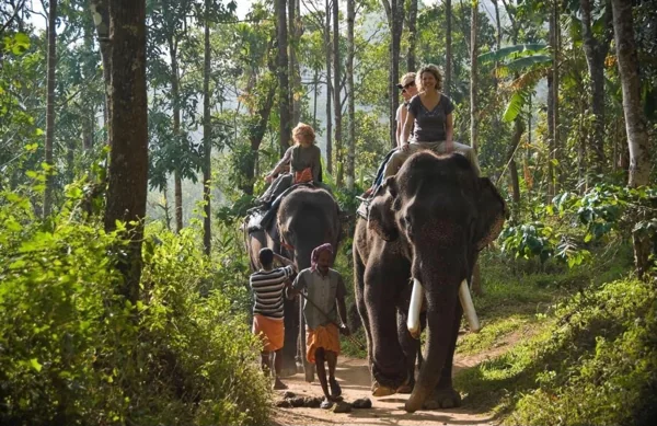 Elephant Camp at Thekkady (32 Km)