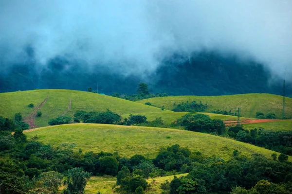 Vagamon Meadows (33 Km)